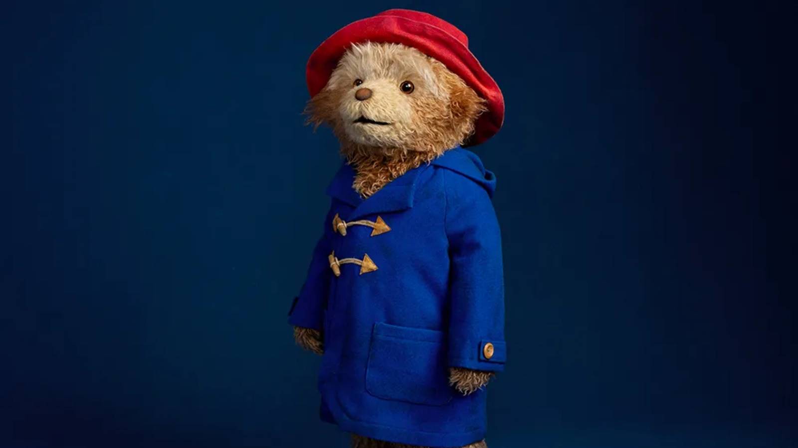 Vở nhạc kịch Paddington đình đám chính thức cập bến nước Mỹ